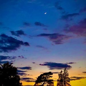 Meet your Posher, Evan